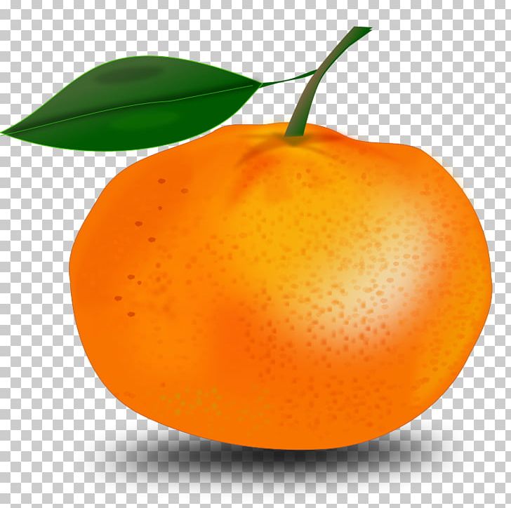 Juice Orange Computer Icons PNG, Clipart, Bitter Orange, Citrus, Diet Food, Download, Food Free PNG Download