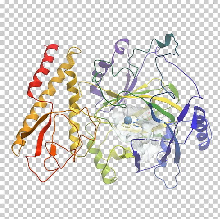 Line PNG, Clipart, Dna Structure Human, Line, Organism Free PNG Download