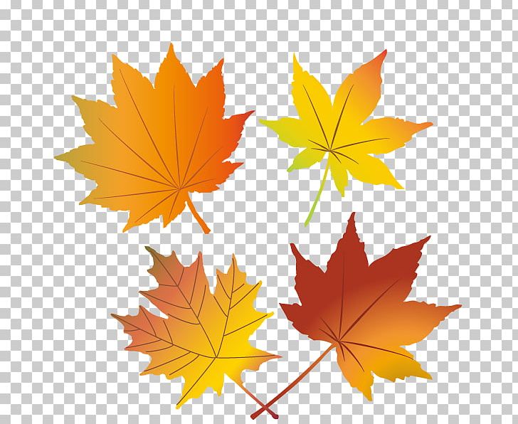 Autumn PNG, Clipart, Autumn, Autumn Leaf Color, Leaf, Maple, Maple Leaf Free PNG Download
