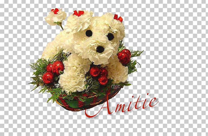 Flower Bouquet Floristry Christmas Centrepiece PNG, Clipart,  Free PNG Download