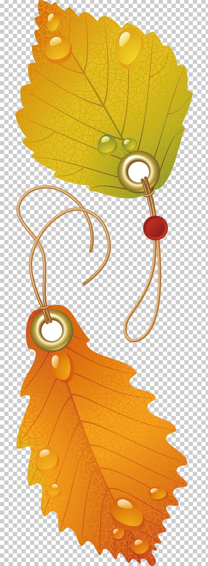 Japanese Maple Autumn Leaf Color PNG, Clipart, Art, Autumn, Christmas Decoration, Deciduous, Decorative Free PNG Download