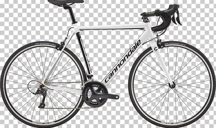 Cannondale CAAD Optimo Tiagra 2018 Cannondale Bicycle Corporation Shimano Tiagra Racing Bicycle PNG, Clipart,  Free PNG Download