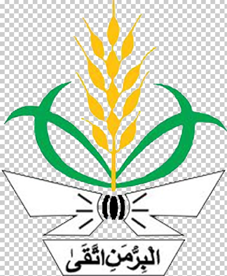 Logo Pemuda Muhammadiyah Png Logo Keren