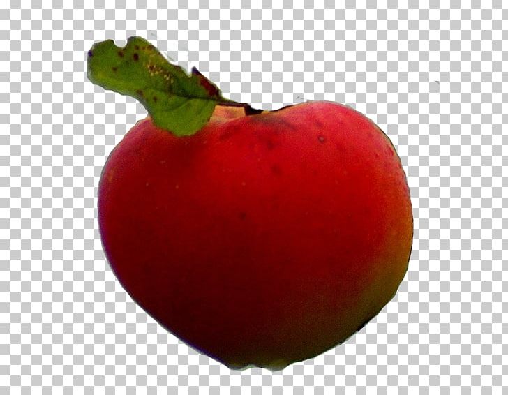 Apple Accessory Fruit Food Pome PNG, Clipart, Accessory Fruit, Acerola, Acerola Family, Apple, Auglis Free PNG Download