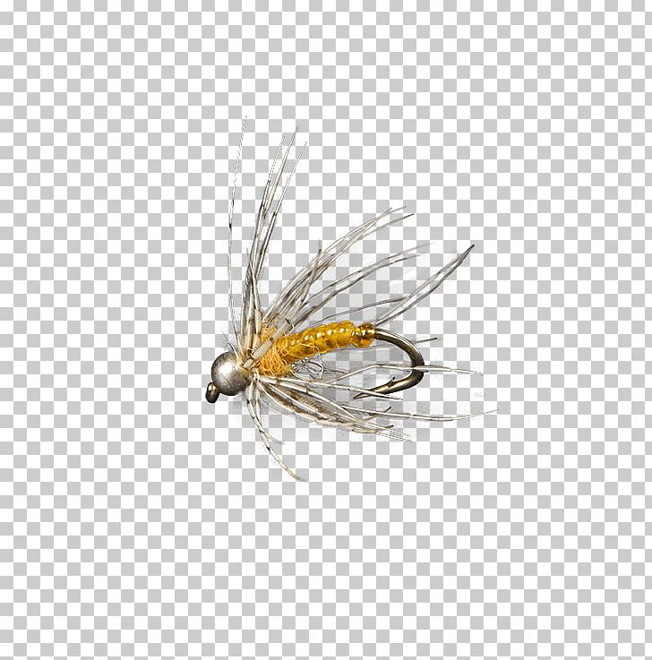 Artificial Fly Holly Flies Discounts And Allowances Insect PNG, Clipart, Arthropod, Artificial Fly, Discounts And Allowances, Facebook Inc, Fly Free PNG Download