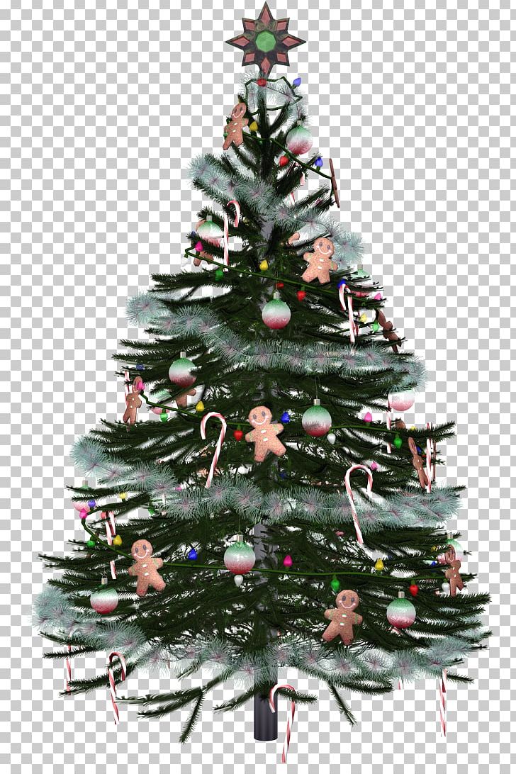 Christmas Tree New Year Tree PNG, Clipart, Christmas, Christmas Decoration, Christmas Ornament, Christmas Tree, Conifer Free PNG Download