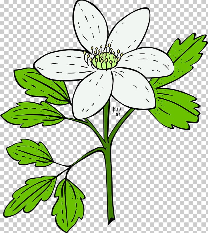 Open Flower Anemone Plants PNG, Clipart, Anemone Piperi, Artwork, Black And White, Cut Flowers, Daisy Free PNG Download