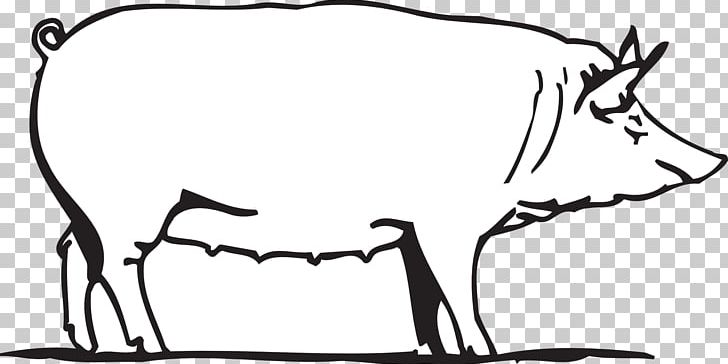 Pig Drawing PNG, Clipart, Animal, Animals, Area, Art, Artwork Free PNG Download