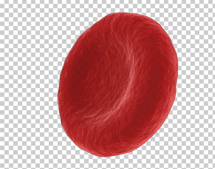 Red Cell PNG, Clipart, Biological, Blood, Cell, Cell Phone, Medical Free PNG Download