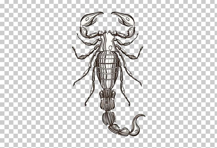 Scorpion Drawing Illustration PNG, Clipart, Buckle, Constellation, Euclidean Vector, Free Hd Material Buckle, Free Logo Design Template Free PNG Download