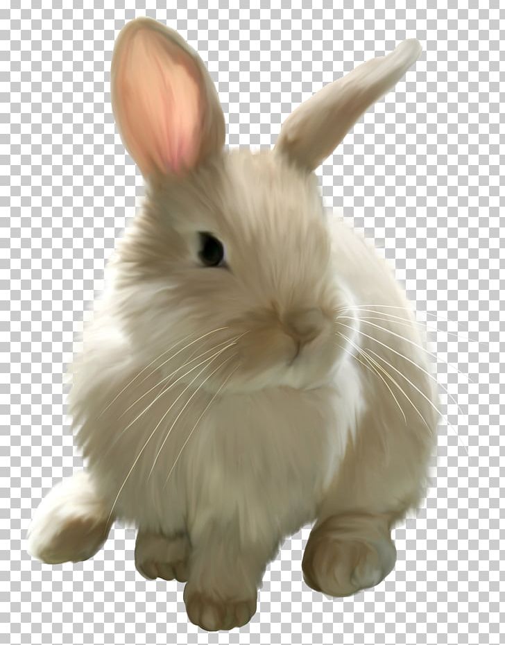 Easter Bunny Rabbit PNG, Clipart, Angel Bunny, Animals, Bunny Rabbit, Clipart, Clip Art Free PNG Download
