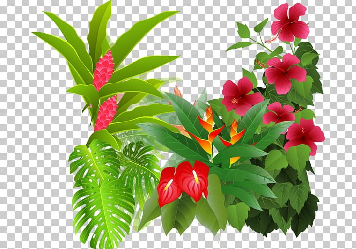Flower Tropical Rainforest Drawing PNG, Clipart, Catechism, Color, Drawing, Flower, Flower Bouquet Free PNG Download