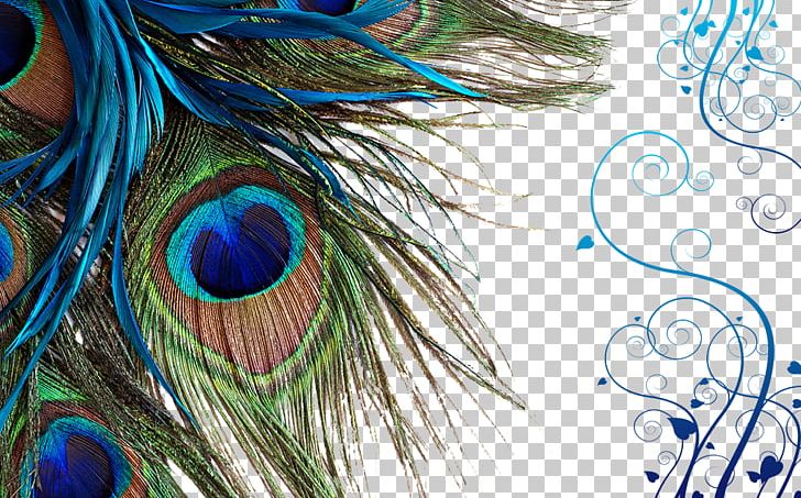 Peacock Feather PNG, Clipart, Art, Art Font, Bedding, Bed Sheets, Bed Size Free PNG Download