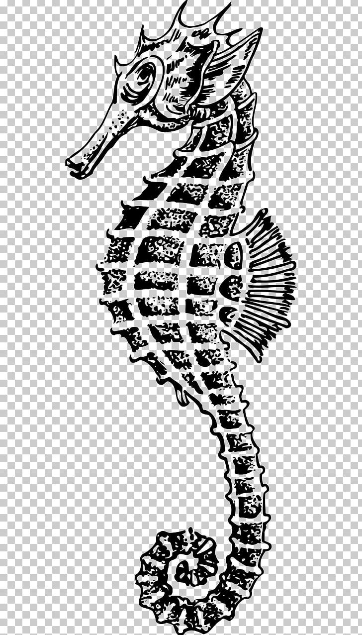 Seahorse Drawing PNG, Clipart, Animals, Area, Art, Black And White, Drawing Free PNG Download