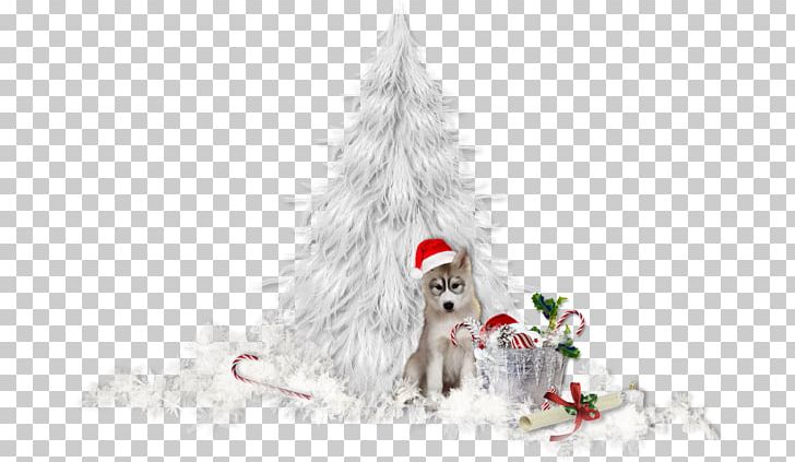 Christmas Tree PNG, Clipart, 2016, Blog, Christmas, Christmas Decoration, Christmas Ornament Free PNG Download