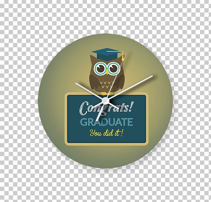 Graduation Ceremony Graduate University School Diploma Academic Certificate PNG, Clipart, Academic Certificate, Bird, Bird Of Prey, Diploma, Gift Free PNG Download