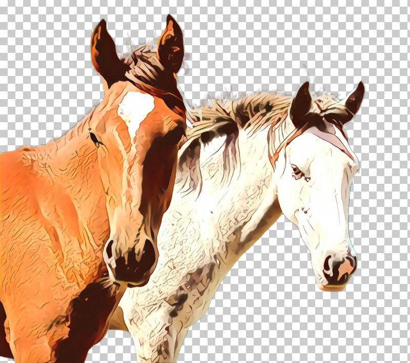 Horse Sorrel Head Snout Mare PNG, Clipart, Head, Horse, Mane, Mare, Snout Free PNG Download