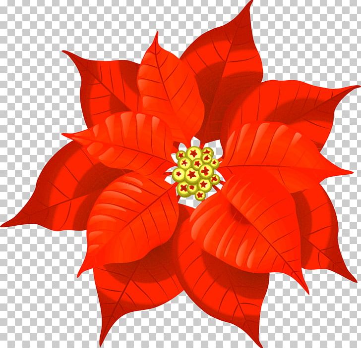 Christmas Decoration Poinsettia Christmas Card PNG, Clipart, Christmas, Christmas Card, Christmas Decoration, Christmas Plants, Christmas Tree Free PNG Download