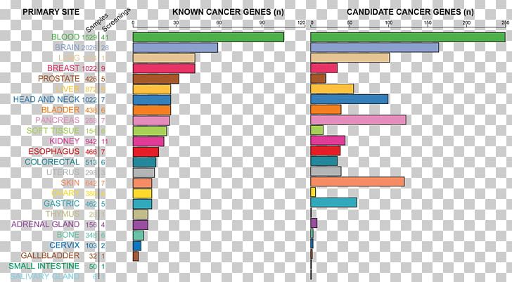 Relapse Network Of Cancer Genes Pancreatic Cancer Cure PNG, Clipart, Angle, Area, Brand, Cancer, Cancer Cell Germ Map Free PNG Download