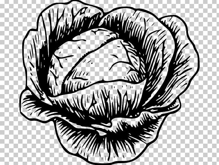 Savoy Cabbage Vegetable PNG, Clipart, Black And White, Broccoli, Cabbage, Chinese Cabbage, Circle Free PNG Download