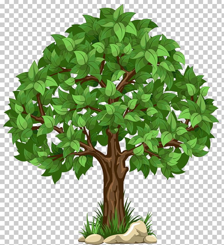 Tree PNG, Clipart, Alpha Compositing, Branch, Clip Art, Flowerpot, Forest Free PNG Download