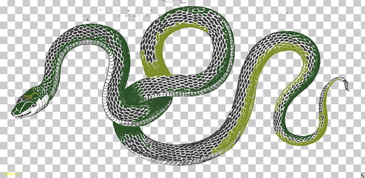 Vipers Kingsnakes Southeastern Crowned Snake PNG, Clipart, Animal, Animal Figure, Animals, Body Jewelry, Copperhead Free PNG Download
