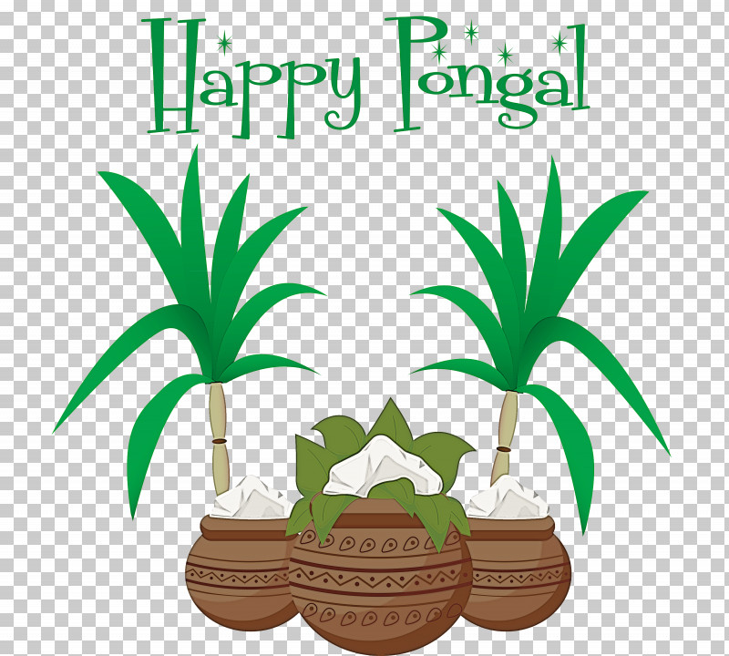 Pongal Thai Pongal Harvest Festival PNG, Clipart, Areca Palm, Branch, Coconut, Drawing, Flowerpot Free PNG Download