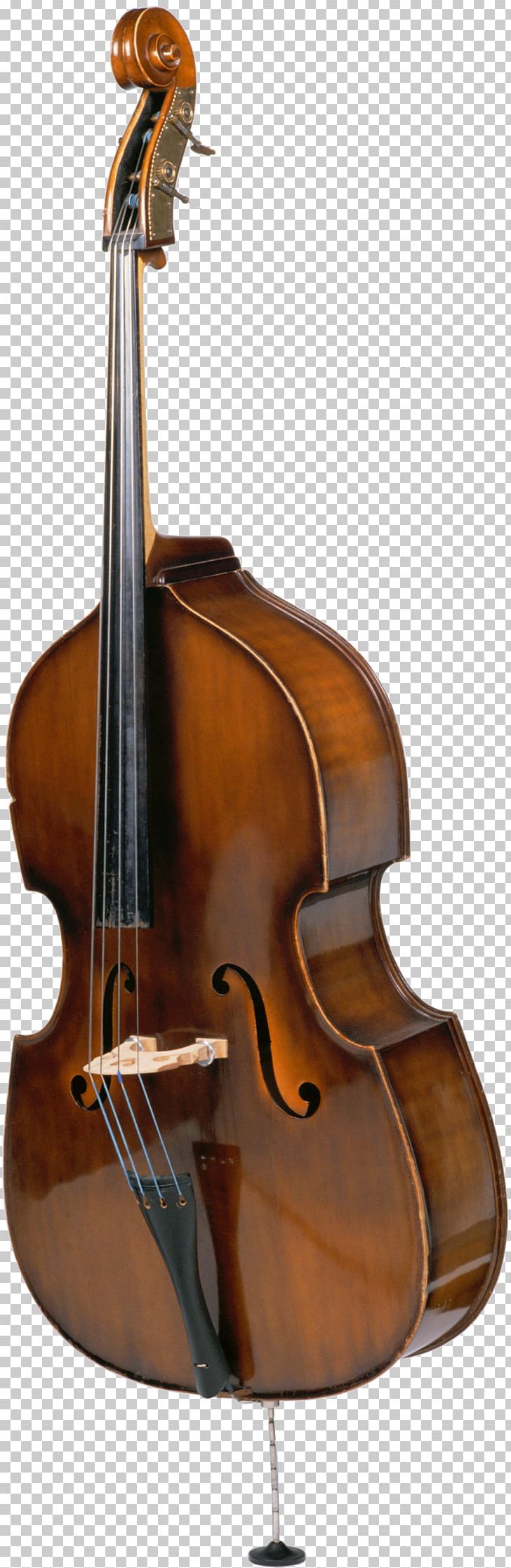 Double Bass String Instruments Bass Guitar Photography Cello PNG, Clipart, Bass Guitar, Bass Violin, Cellist, Double Bass, Orchestra Free PNG Download