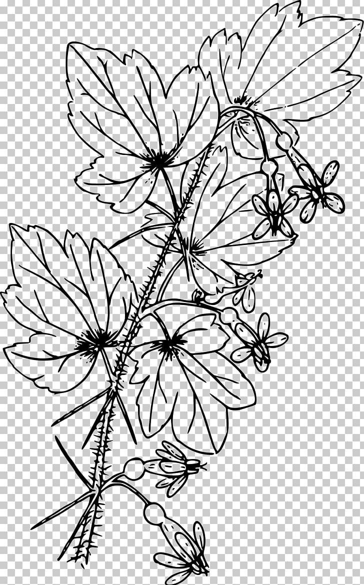 Gooseberry Coloring Book Ribes Hirtellum PNG, Clipart, Area, Berry, Black And White, Branch, Color Free PNG Download