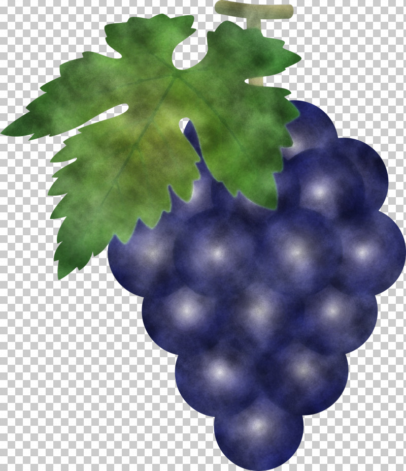 Grape Grapes Fruit PNG, Clipart, Berry, Flower, Fruit, Grape, Grape Leaves Free PNG Download