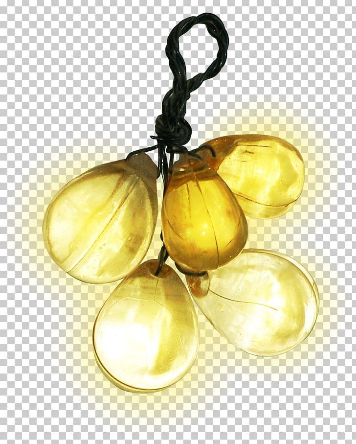 Lantern Animals Photography PNG, Clipart, Animals, Brass, Centerblog, Clip Art, Decoration Free PNG Download