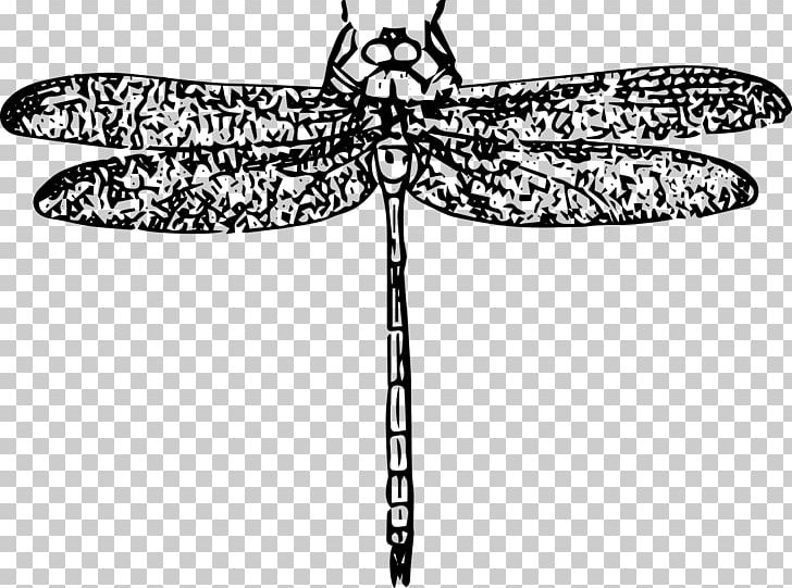 Insect Dragonfly PNG, Clipart, Animal, Animals, Art, Artwork, Black And White Free PNG Download
