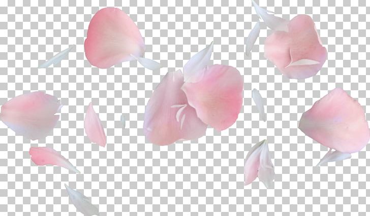 Petal Flower Heaven PNG, Clipart, Blog, Cut Flowers, Florist, Flower, Flower Bouquet Free PNG Download