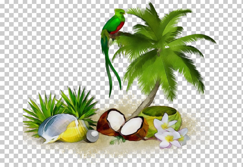 Palm Tree PNG, Clipart, Aquarium Decor, Arecales, Coconut, Garnish, Grass Free PNG Download