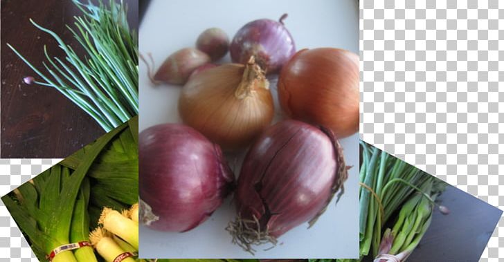 Shallot Superfood Recipe Local Food PNG, Clipart, Food, Fruit, Ingredient, Local Food, Natural Foods Free PNG Download