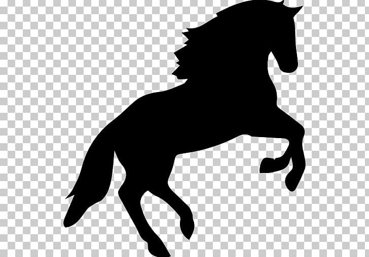 Arabian Horse Jumping Equestrian PNG, Clipart, Black, Black And White, Bridle, Collection, Dog Like Mammal Free PNG Download