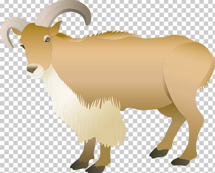 Barbary Sheep Ahuntz Goat Photography PNG, Clipart, Animal, Animal Figure, Animals, Barbary Sheep, Black And White Free PNG Download