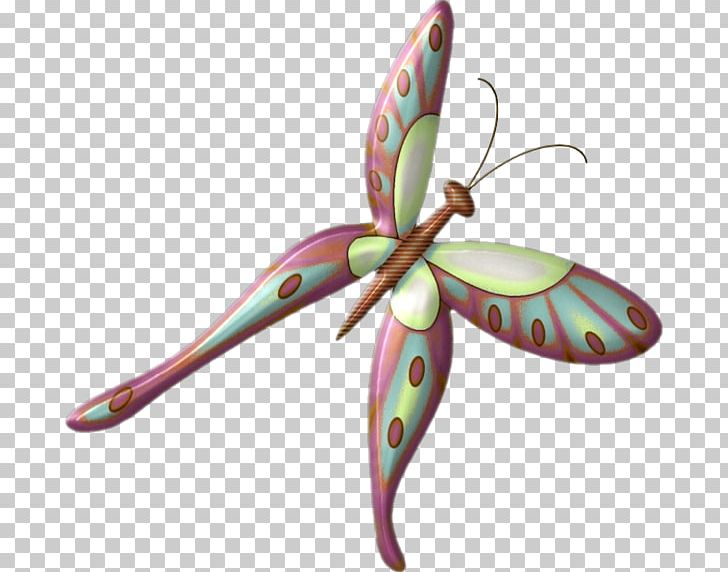 Butterfly PNG, Clipart, Butterflies And Moths, Butterfly, Green, Insect, Insects Free PNG Download