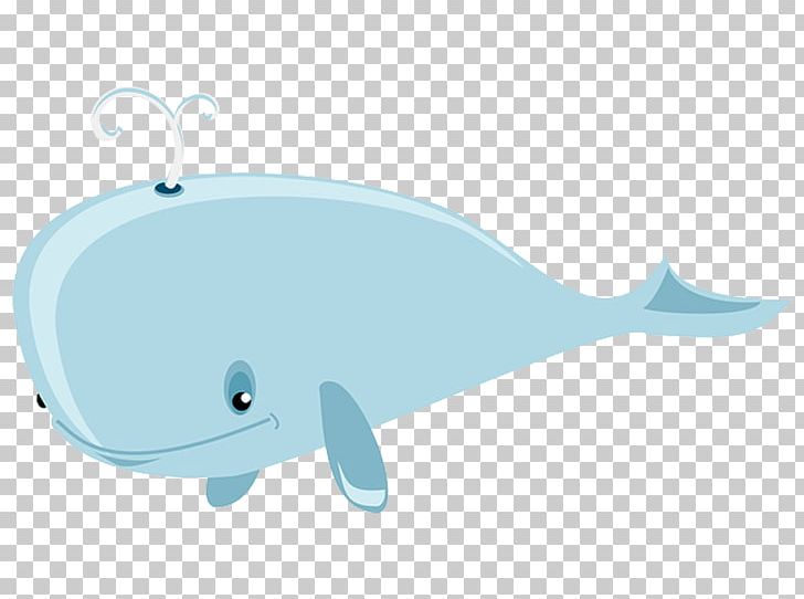 Dolphin Cetacea Blue Whale PNG, Clipart, Animals, Blog, Blue, Blue Whale, Cartilaginous Fish Free PNG Download