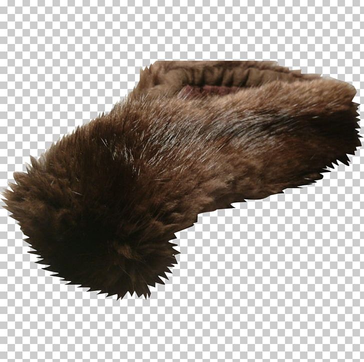 Fur Shoe Snout Brown PNG, Clipart, Animals, Brown, Fur, Miscellaneous, Others Free PNG Download