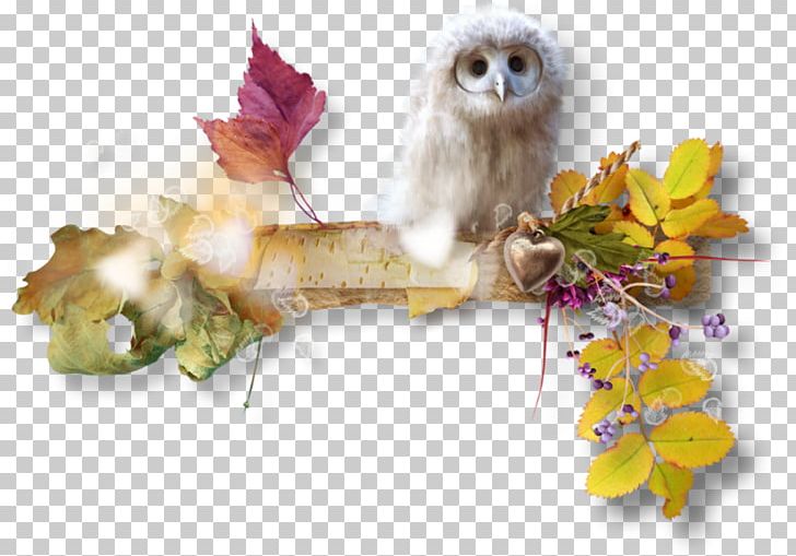 Owl Bird Autumn 0 PNG, Clipart, 2018, Art, Autumn, Bird, Flower Free PNG Download