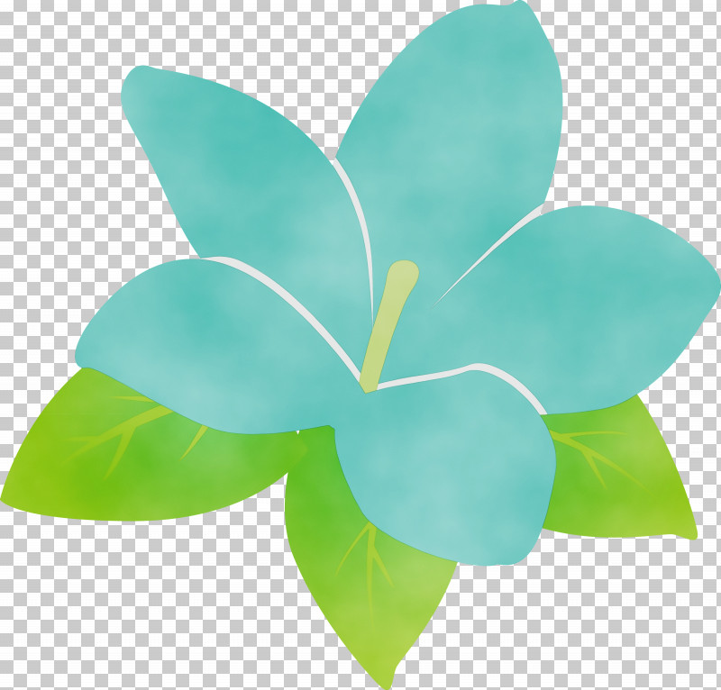 Leaf Petal Turquoise M Green Flower PNG, Clipart, Biology, Flower, Green, Jasmine, Jasmine Flower Free PNG Download