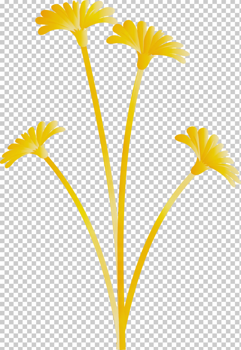 Plant Stem Kościół Narodzenia Nmp W Królowej Górnej Dandelion PNG, Clipart, Cut Flowers, Dandelion, Dandelion Flower, Flower, Paint Free PNG Download