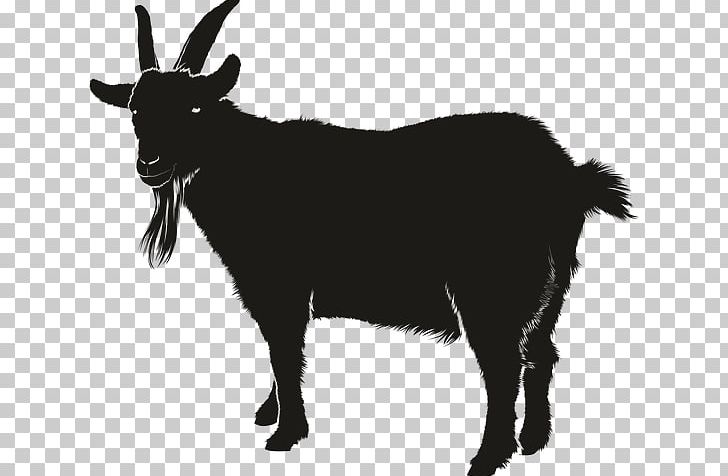Boer Goat Black Bengal Goat Graphics Silhouette PNG, Clipart, Animals, Black And White, Black Bengal Goat, Boer Goat, Cattle Like Mammal Free PNG Download
