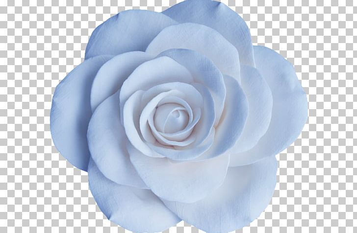 Garden Roses Blue Rose Centifolia Roses Floribunda Flower PNG, Clipart, Author, Blue, Blue Rose, Camellia, Centifolia Roses Free PNG Download