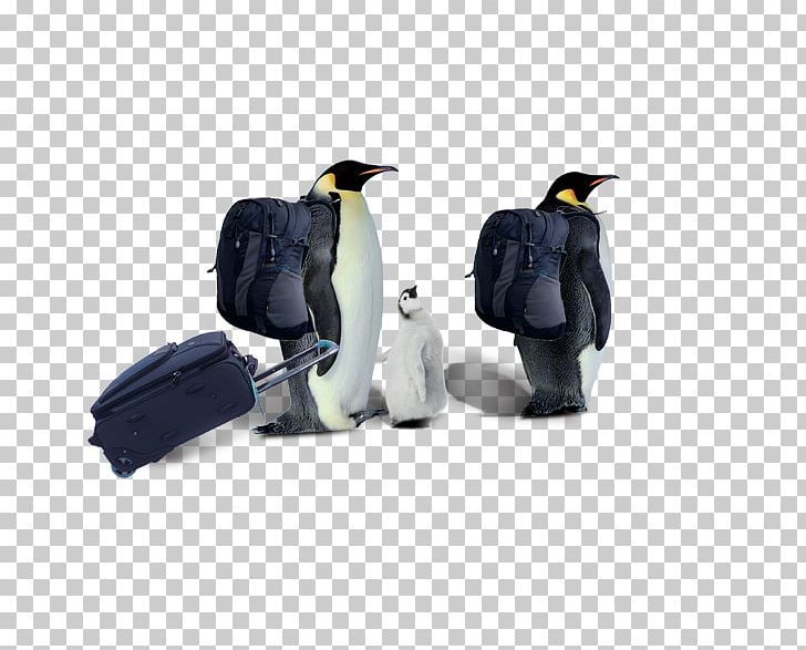 Penguin Razorbills Computer File PNG, Clipart, Animals, Bird, Cartoon Penguin, Christmas Penguin, Cute Penguin Free PNG Download