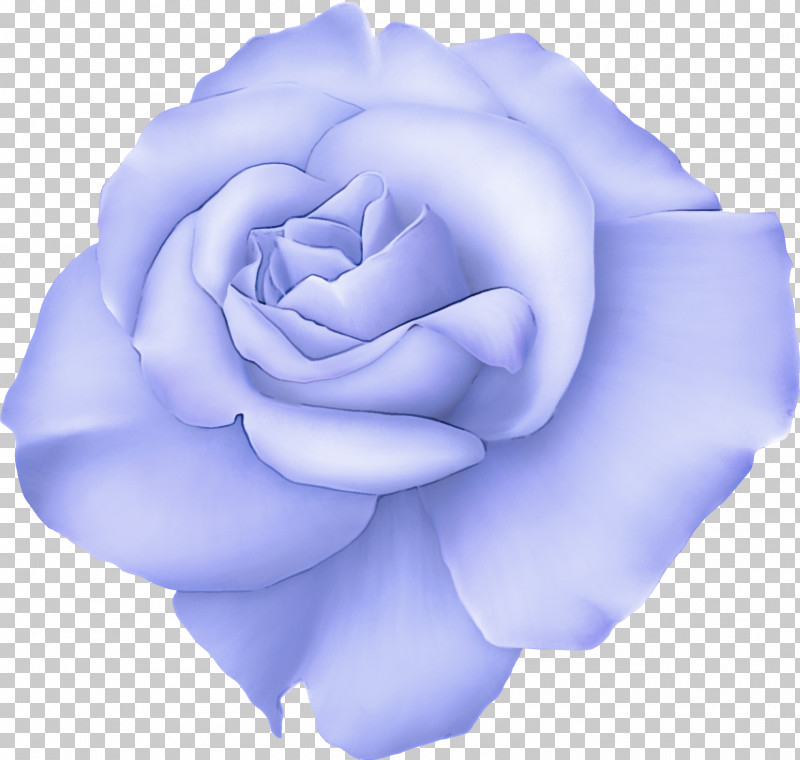 Blue Rose PNG, Clipart, Blue, Blue Rose, Flower, Garden Roses, Hybrid Tea Rose Free PNG Download
