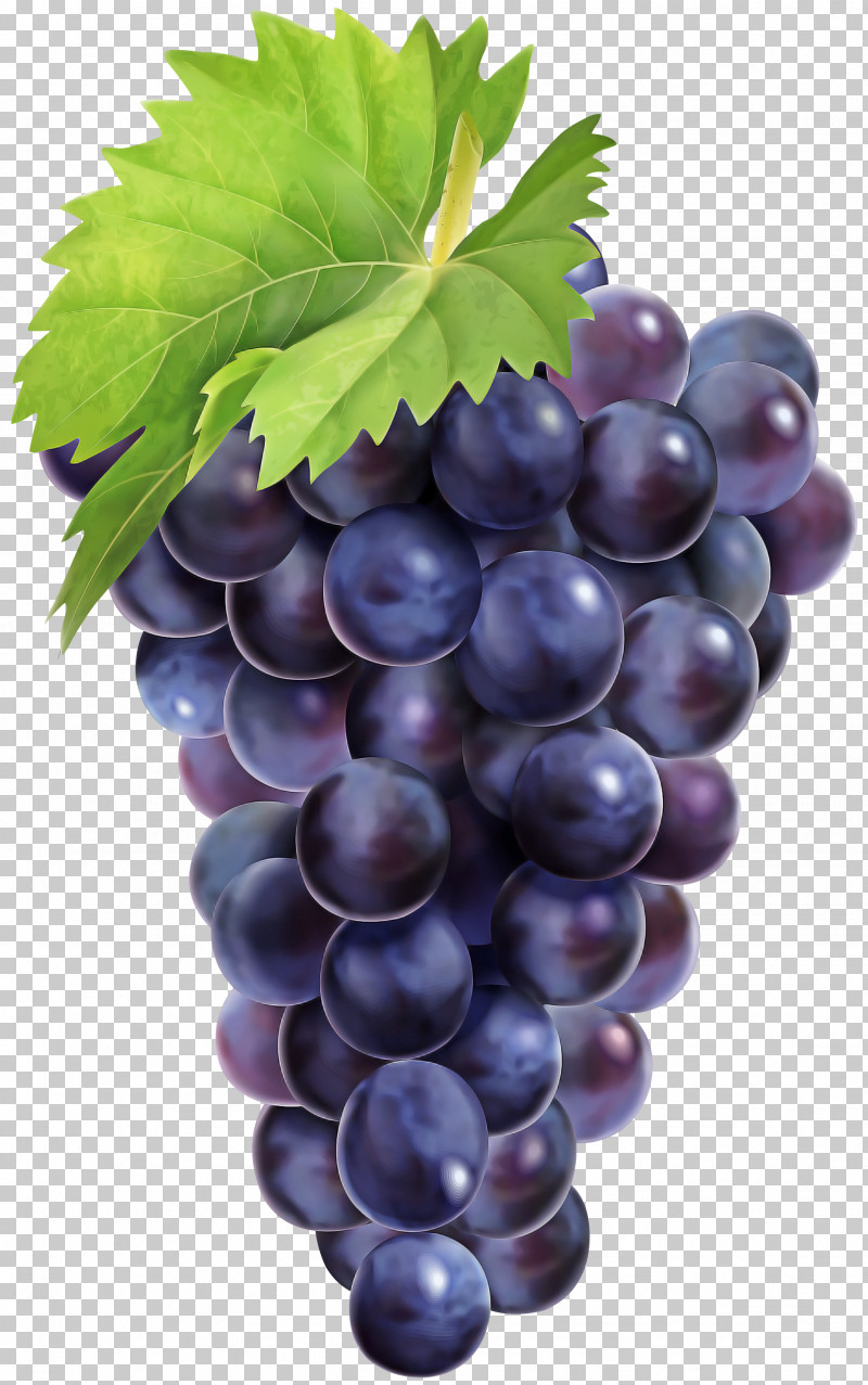 Grape Seedless Fruit Fruit Grape Leaves Grapevine Family PNG, Clipart, Berry, Bilberry, Currant, Flower, Food Free PNG Download