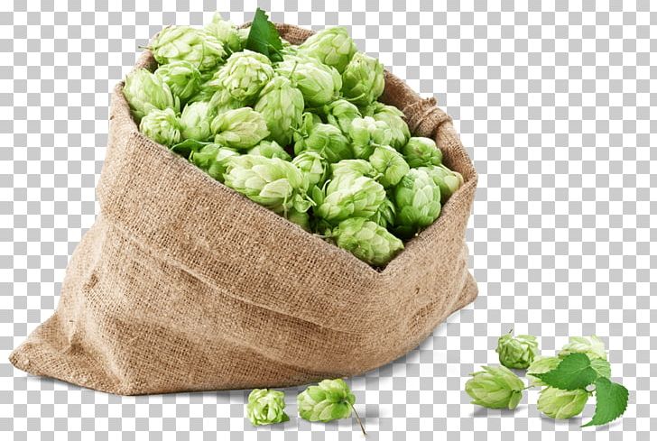 Beer Brewing Grains & Malts Common Hop Conifer Cone Hops PNG, Clipart, Almanac Beer Company, Bear Republic Brewing Company, Beer, Beer Brewing Grains Malts, Bitterness Free PNG Download
