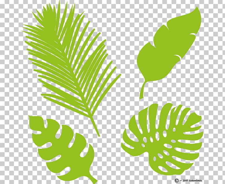Leaf Tropics Plant Stem Xanarchy PNG, Clipart, Bird, Branch, Flora, Grass, Grasses Free PNG Download